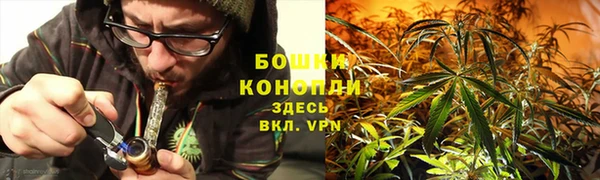 таблы Дмитровск